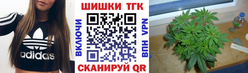 Виды наркотиков купить Дагестанские Огни COCAIN МЕФ Гашиш A PVP Галлюциногенные грибы Героин Конопля